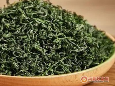 珍香茶葉 技術(shù)推廣驅(qū)動，品質(zhì)與效益的雙贏之路