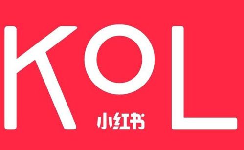 蕓眾科技 借力小紅書KOL達人，打造產品推廣種草與測評新范式