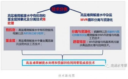高鹽難降解廢水趨零排放技術實現重大突破與規?；瘧? />
</span>
<span id=